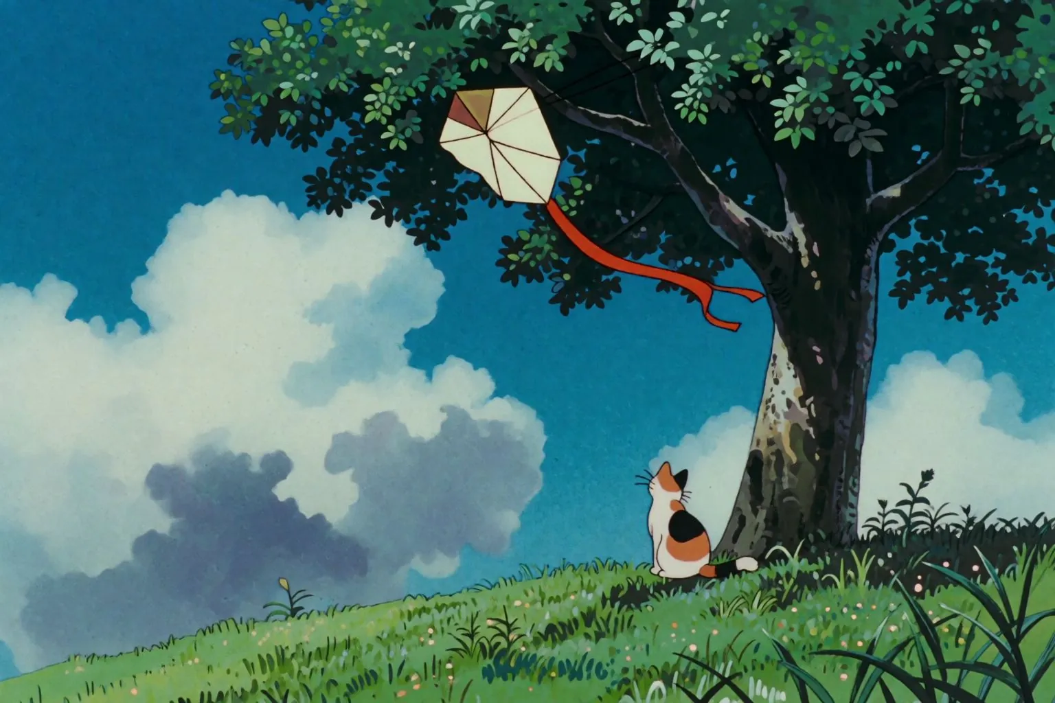 A painted kite caught in the branches of a tree on a summer hill, a calico cat watching from the grass