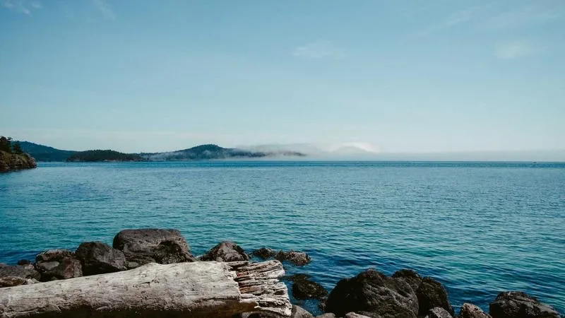 A calm blue sea under a clear sky, with driftwood on dark rocks in the foreground